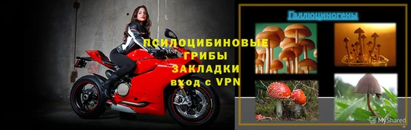 мяу мяу мука Баксан