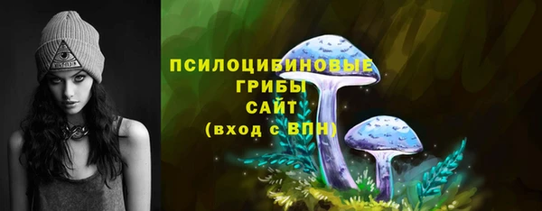 мяу мяу мука Баксан