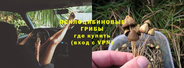 хмурый Балабаново